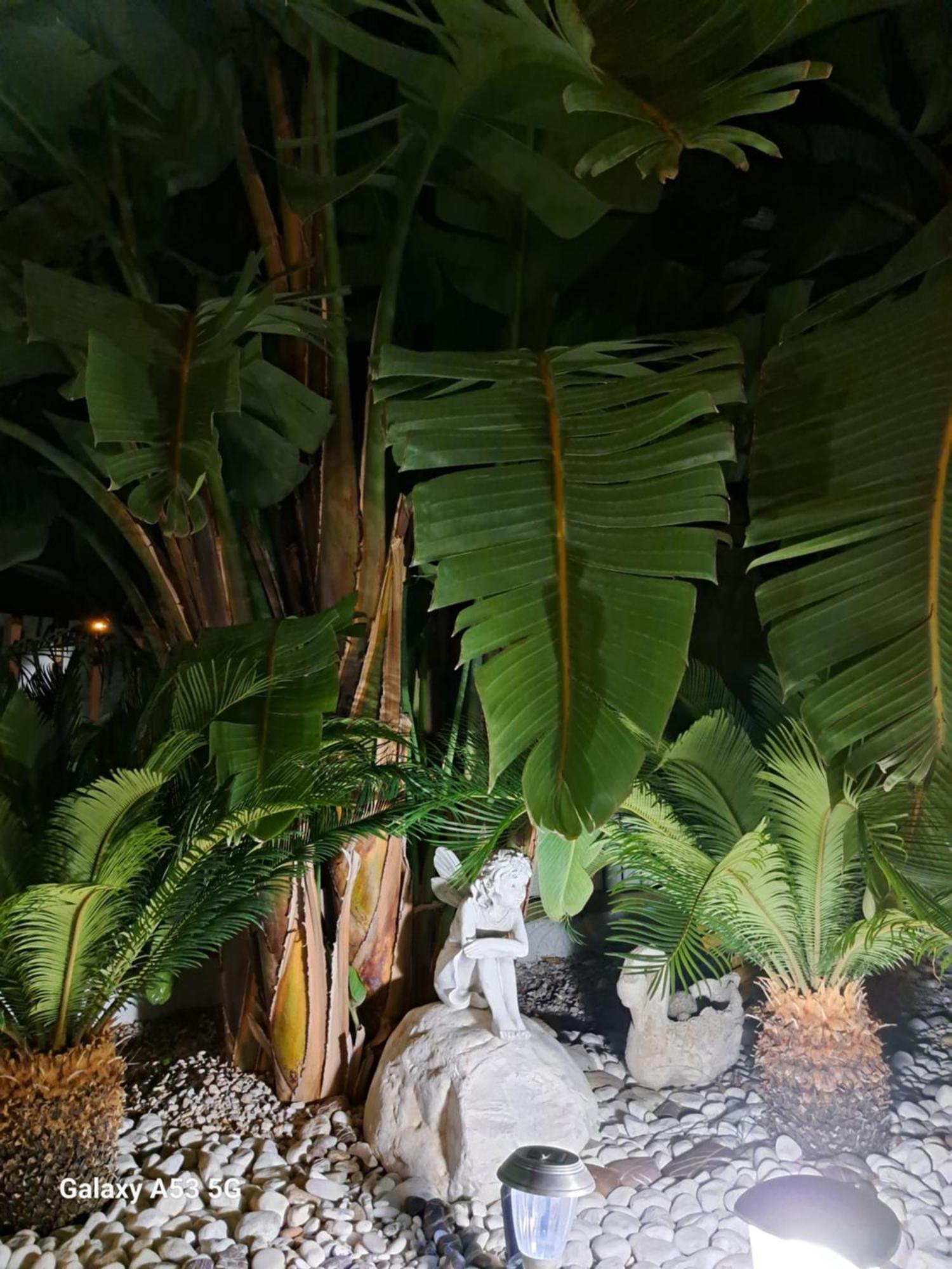 אגרופולי B&B Villa Antonio Loreto מראה חיצוני תמונה